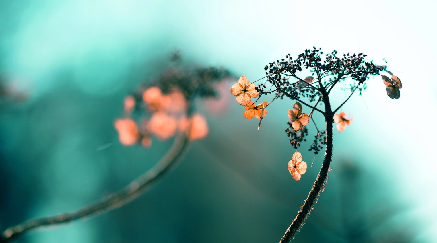 Was Trinken Gehen Göppingen Was Trinken Gehen Göppingen